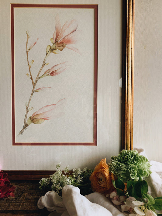 Vintage Signed Watercolour Painting ~ magnolia (UK SHIPPING ONLY)