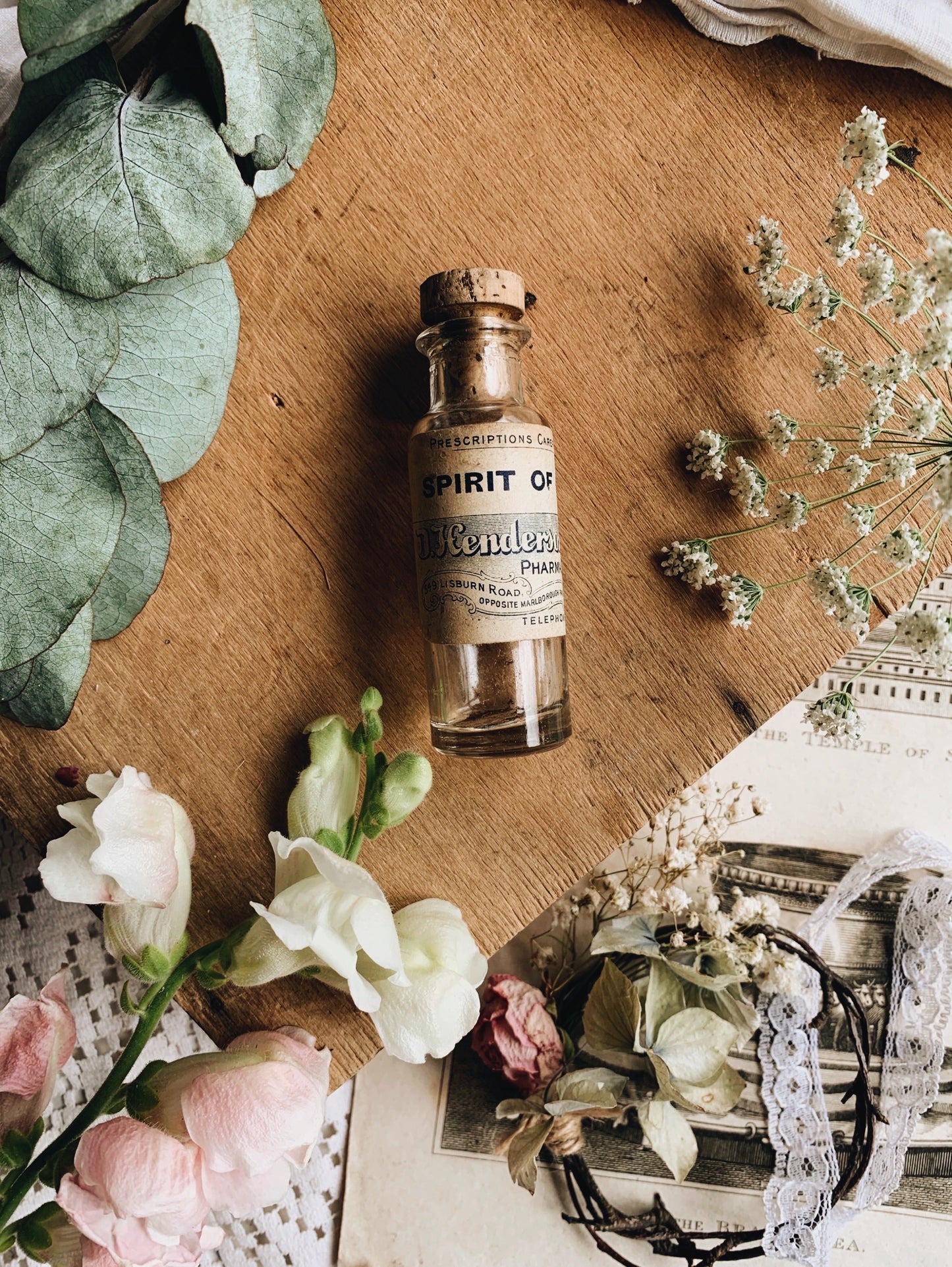 Antique Apothecary Spirit of Camphor Bottle ~  Medicine Label