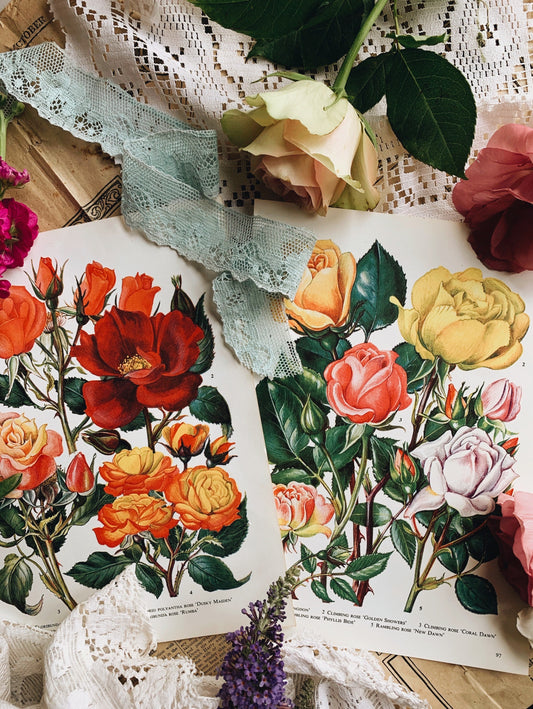 Two Vintage 1960’s Rose Bookplates