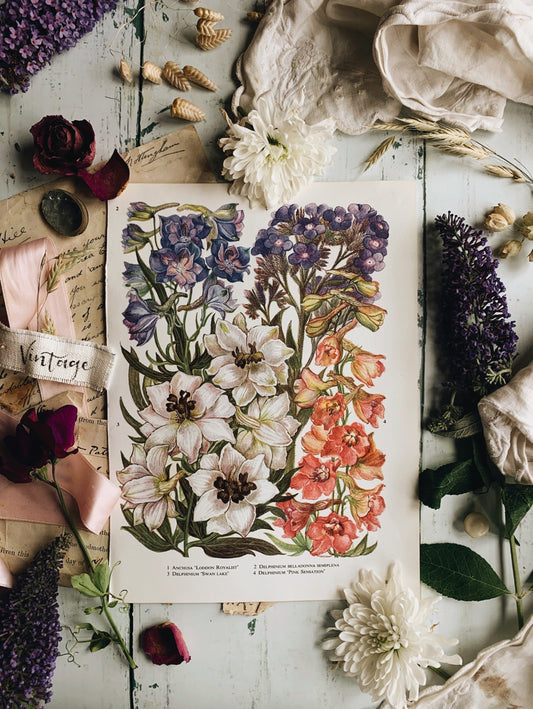 Vintage 1969’s “London Royalist” Floral Bookplate