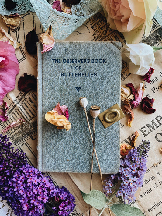 Vintage Butterfly Observer