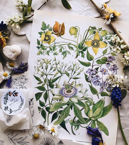 FREE GIFT • T H A N K ~ Y O U • with any orders placed BANK MONDAY you’ll receive a free S&S wax melt plus a beautiful vintage floral bookplate