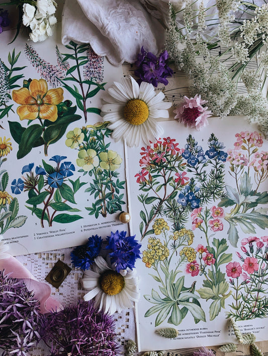 Two Vintage 1960’s Floral Bookplates