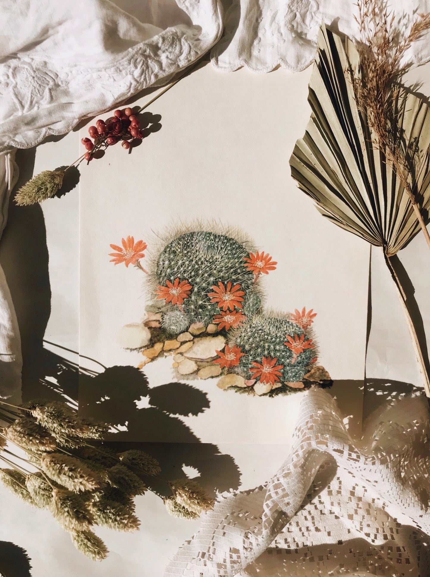 Antique Cacti Illustration Bookplate No 1