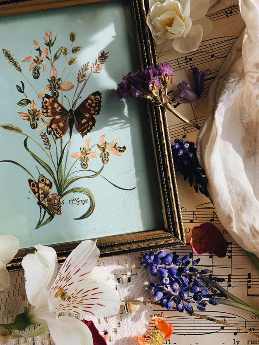 Vintage Butterfly Print Framed