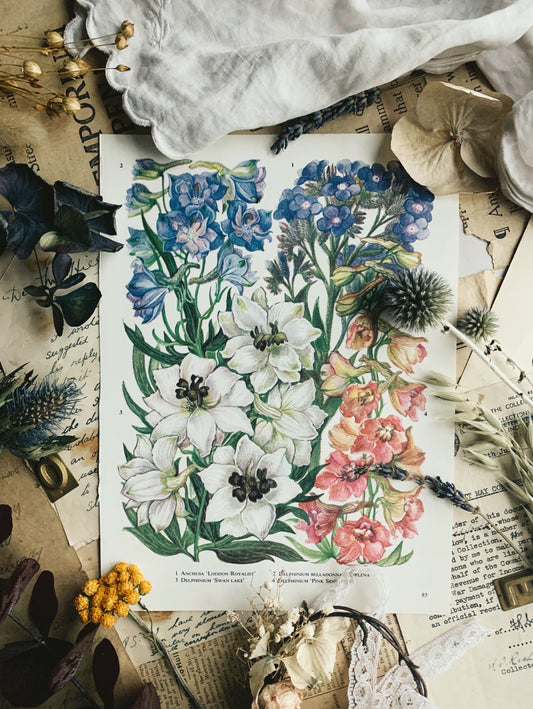 Vintage 1960’s Floral Bookplate ~ London Royalist