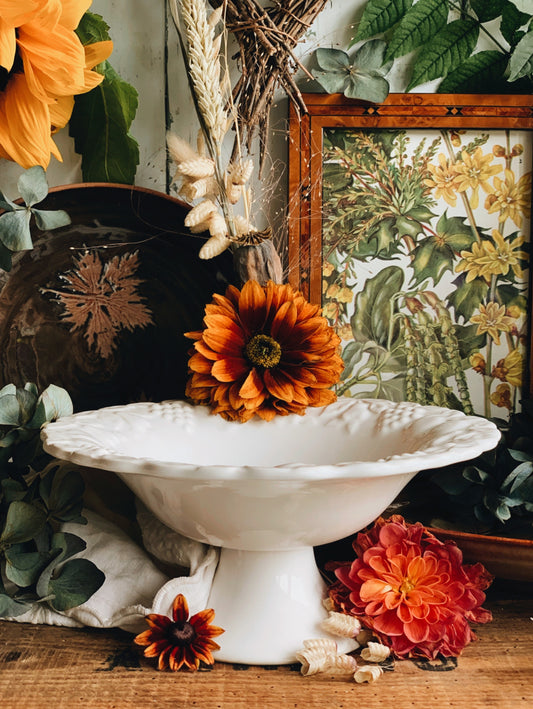 Vintage White Fruits Dish (stand) ~ S&S