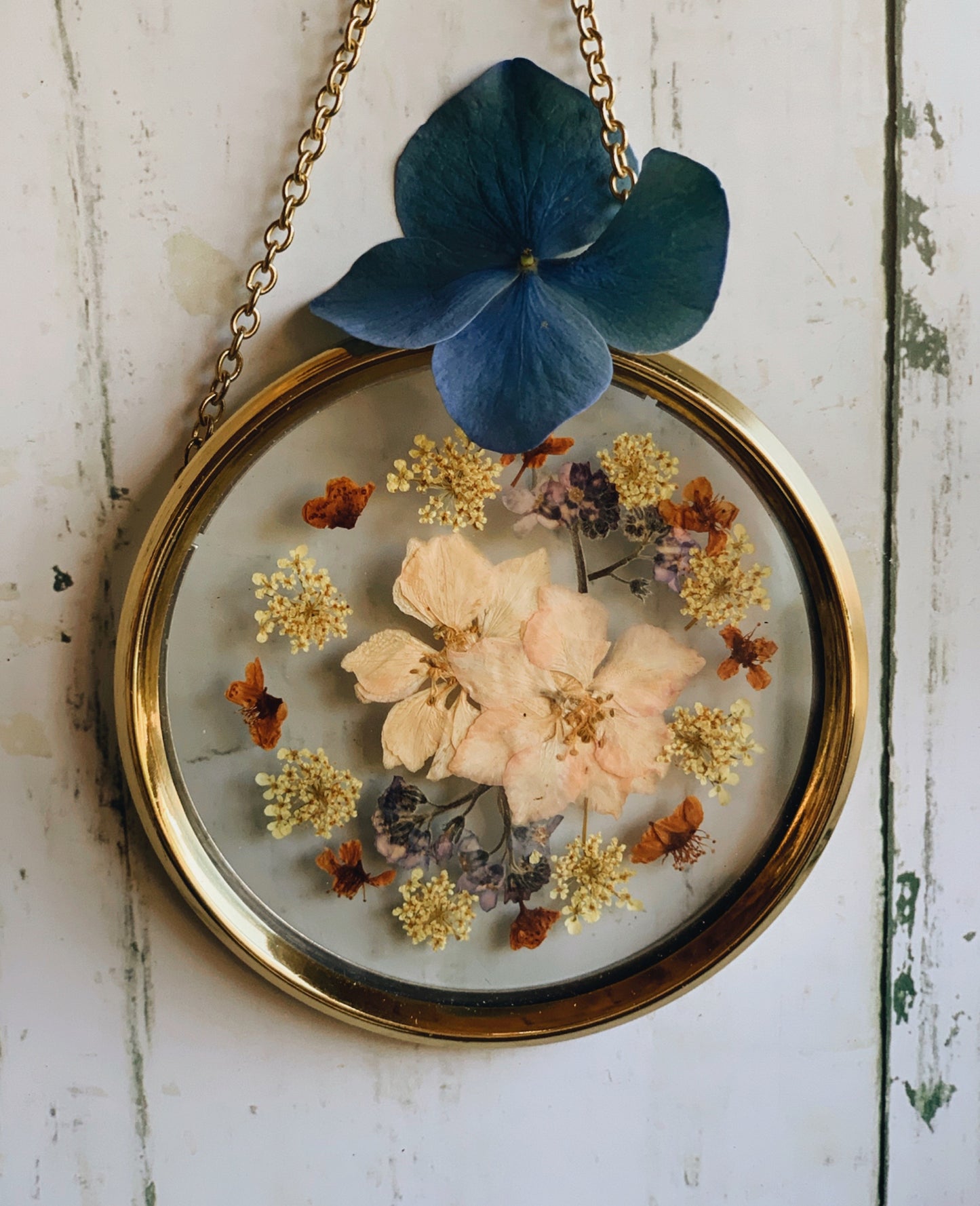 Vintage Dried Flowers in Frame ~ S&S
