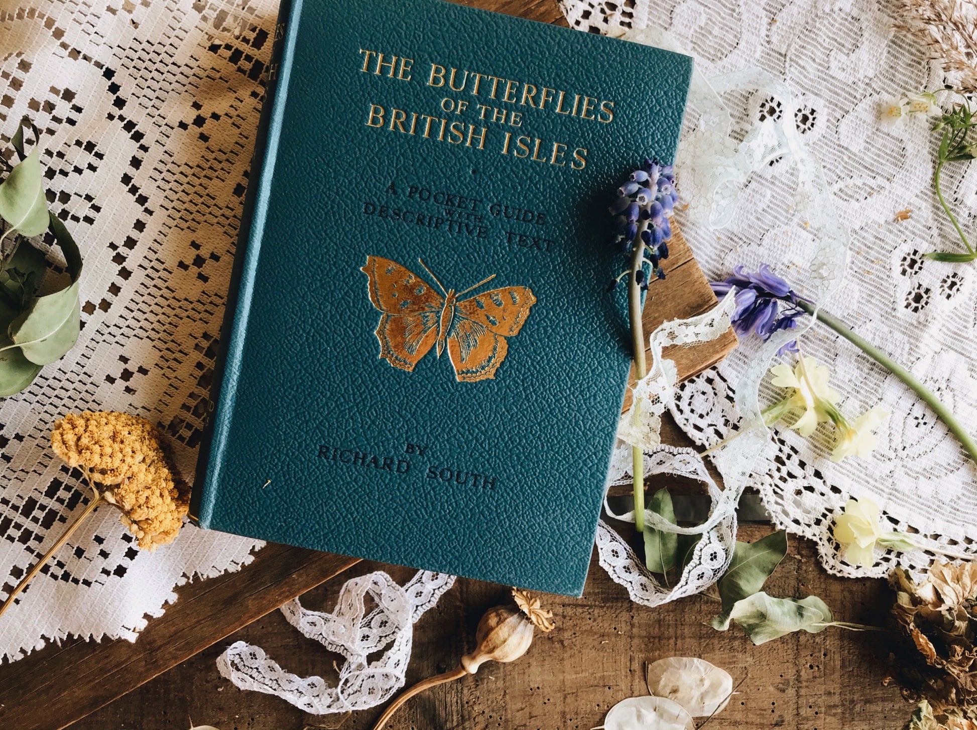 Vintage Book ~ The Butterflies of the British Isles ~ Richard South - Stone & Sage 
