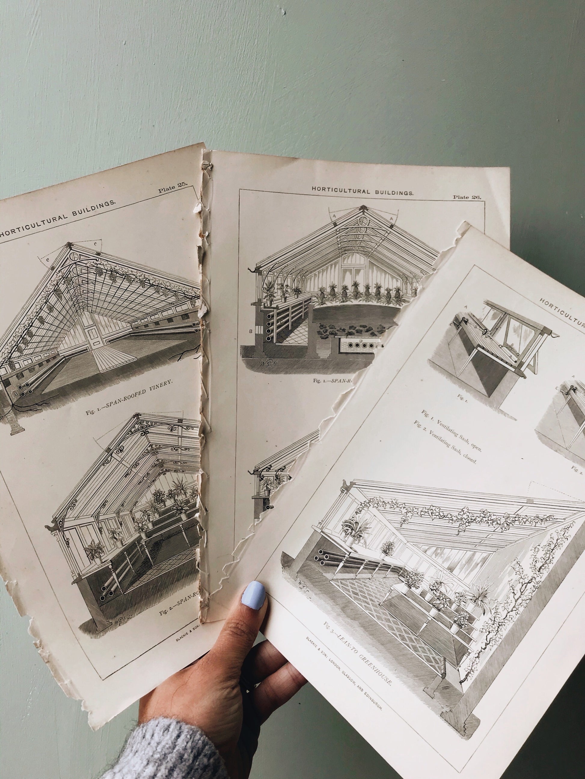 Antique 1800c Horticultural Buildings Bookplates - Stone & Sage 