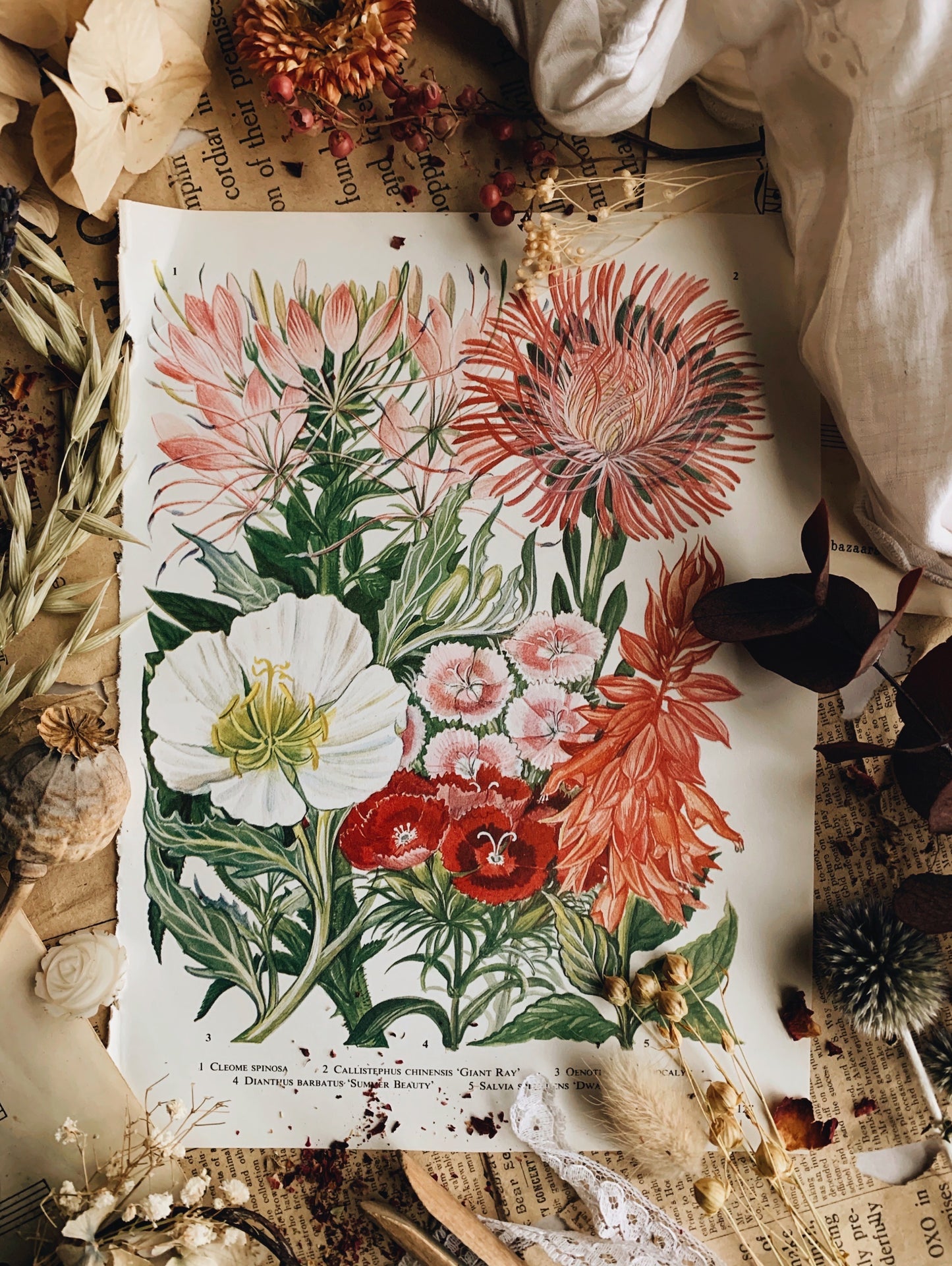 Vintage 1960’s Floral Garden Bookplate ~ summer beauty