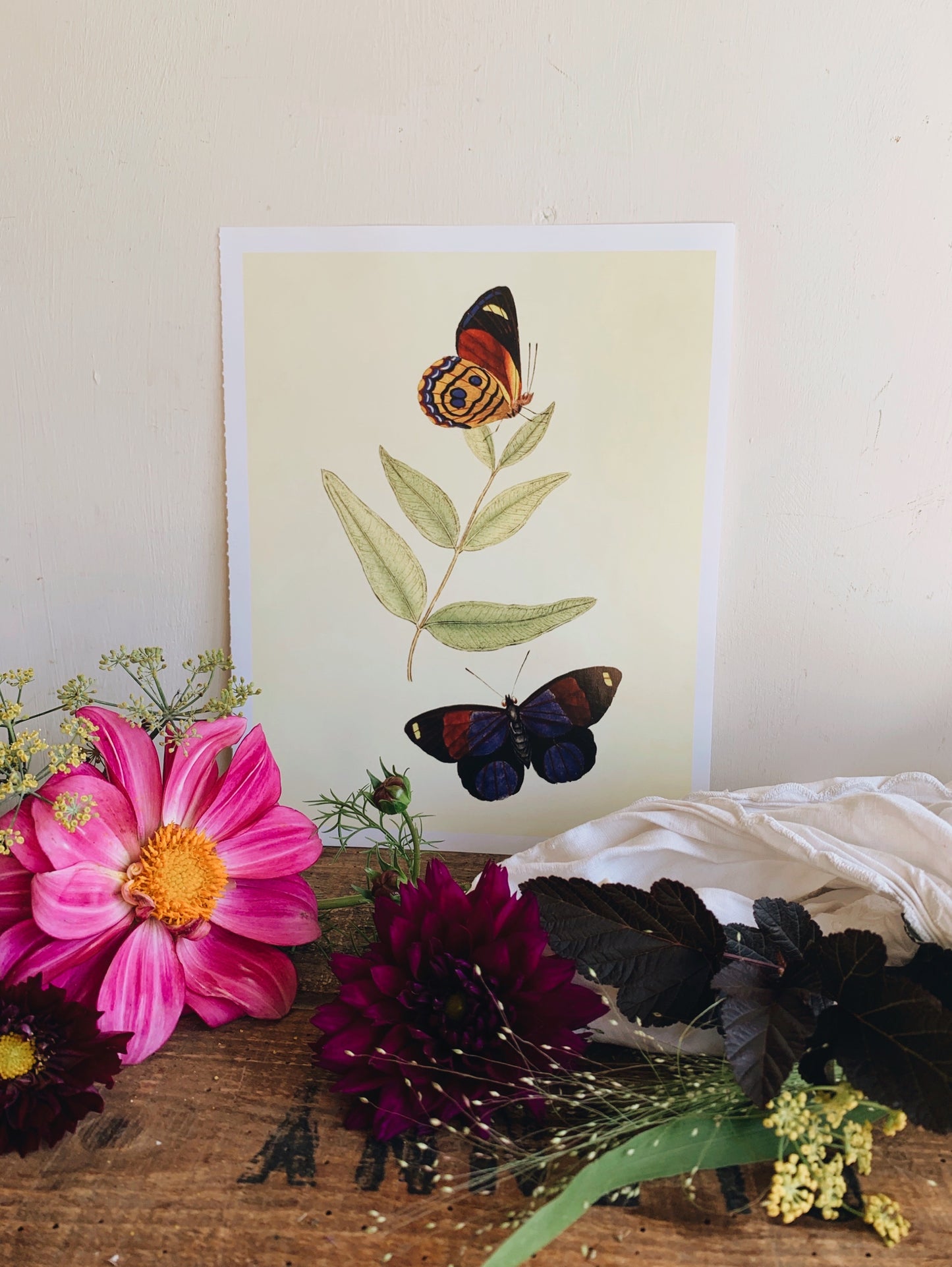 Vintage Style Butterfly Print 2