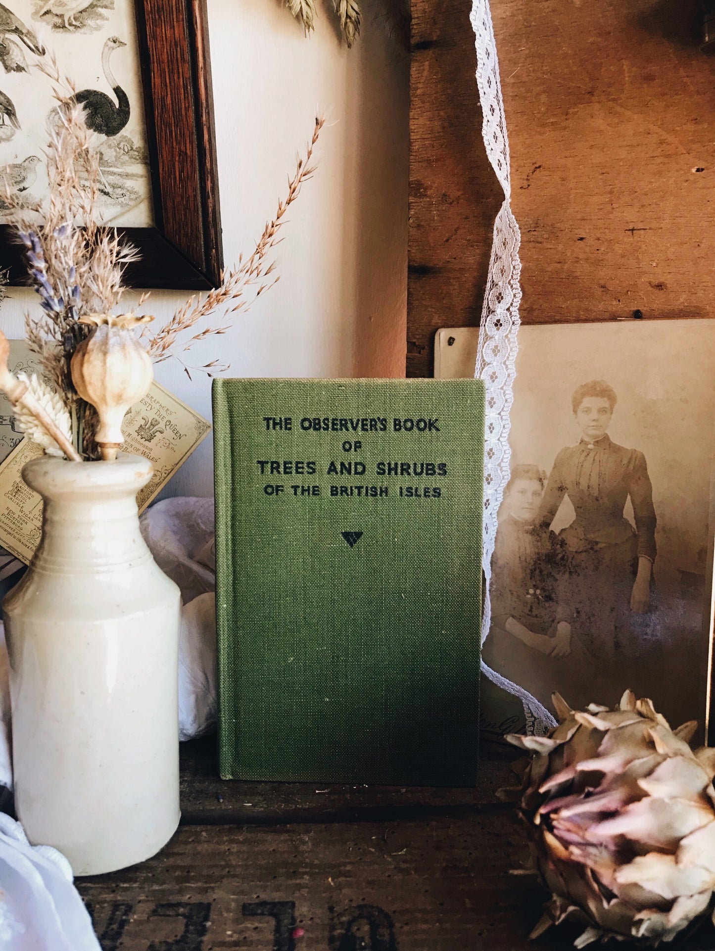 Vintage Tree’s & Shrubs of the British Isles Observer Book