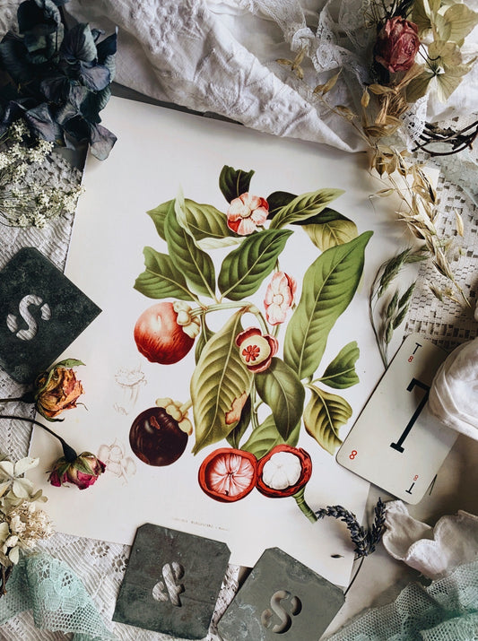 Vintage Style Floral Print