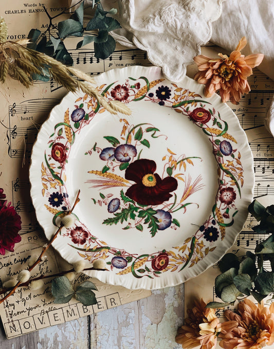 Vintage Wedgwood Cornflower Plate (1930’s)