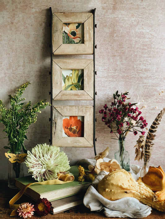Rustic Wooden & Metal Frames with Three 1960’s Floral Book Prints (UK SHIPPING ONLY)