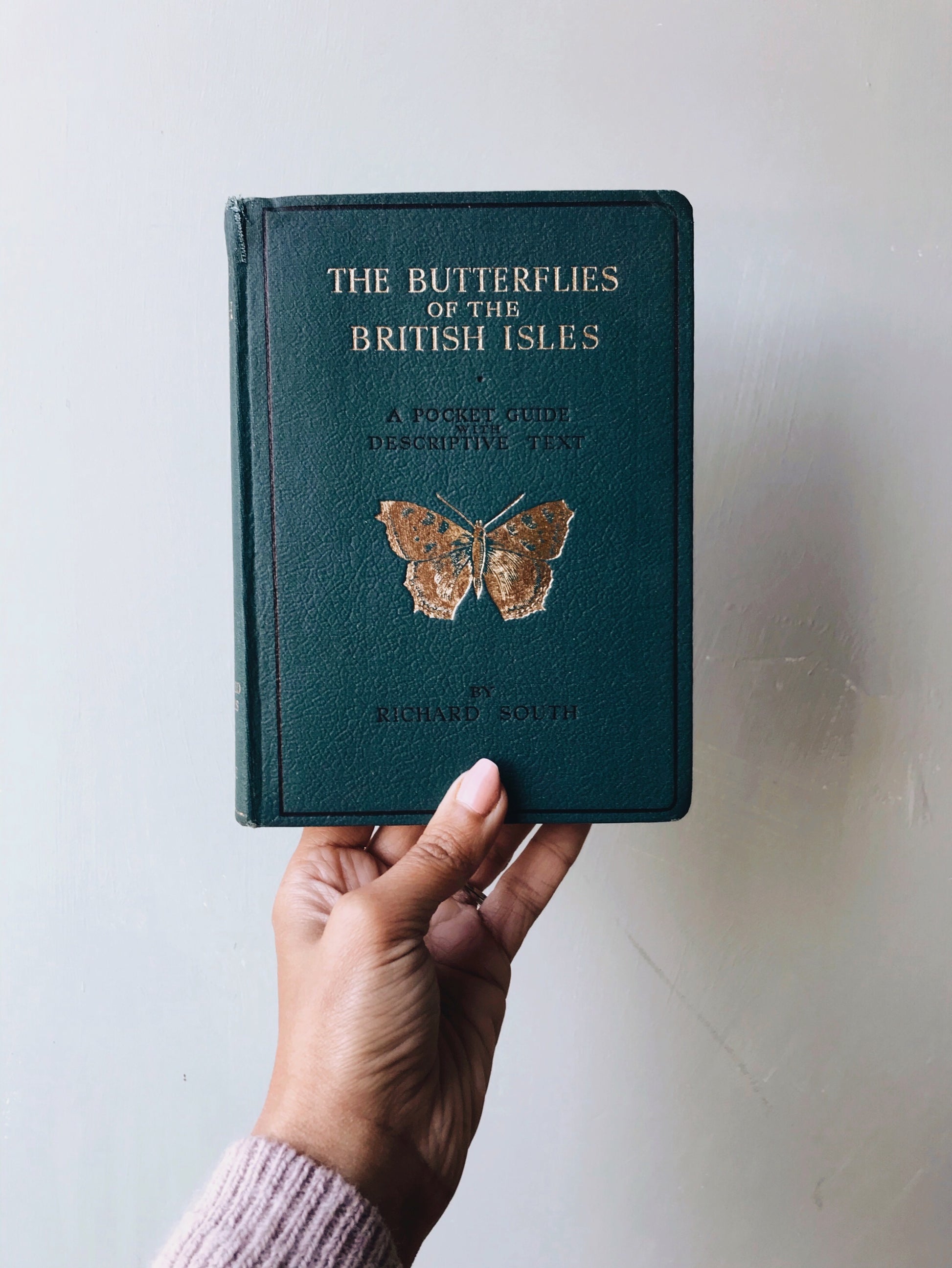 Vintage Book 1940s ~ The Butterflies of the British Isles ~ Richard South - Stone & Sage 