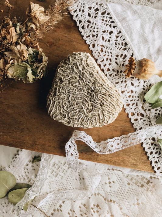 Vintage Medium Brain Coral - Stone & Sage 