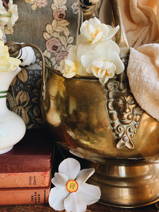 Vintage Brass Lion Crested Coal Bucket (planter) with Ceramic Handle