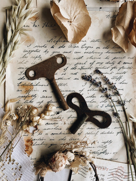 Two Vintage Utility Keys (radiator)