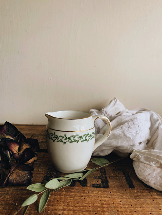 Vintage Foley Botanic Jug