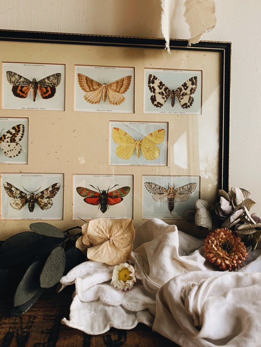 Vintage Collection of Butterfly Cards Framed (UK shipping ONLY)