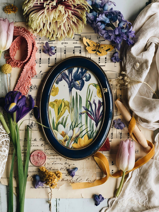 Vintage 1960’s Iris Bookplate in Blue Frame
