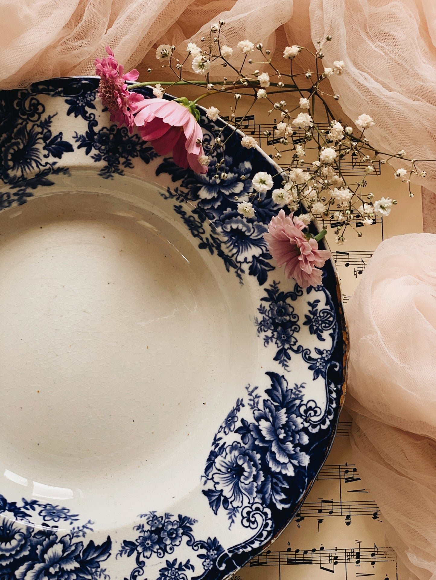 Antique Early 1900’s Blue Floral Supper Bowl