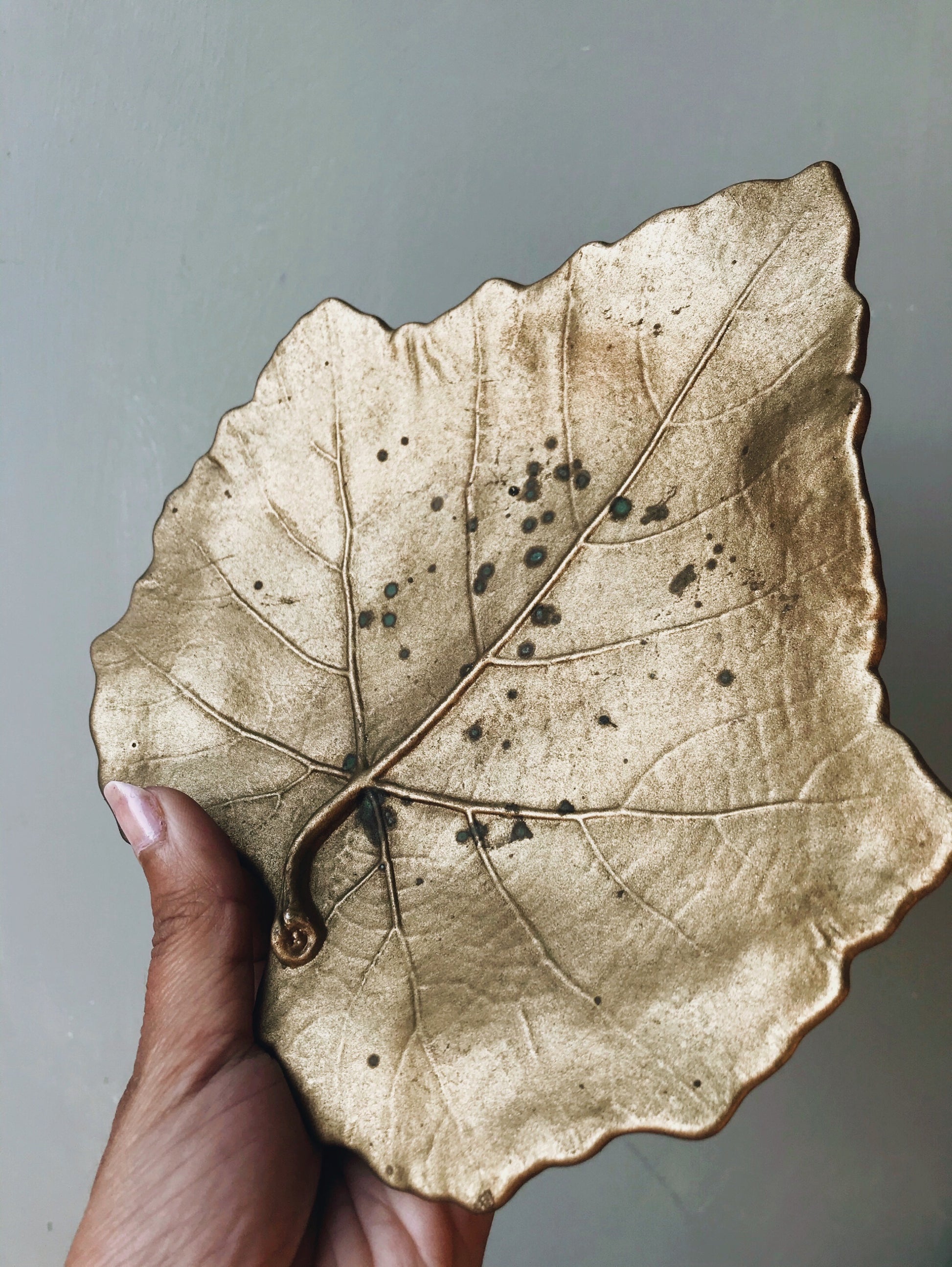Ceramic Leaf Dish - Stone & Sage 