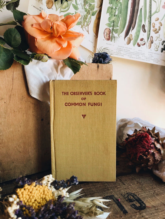Vintage 1950’s Common Fungi Observer Book