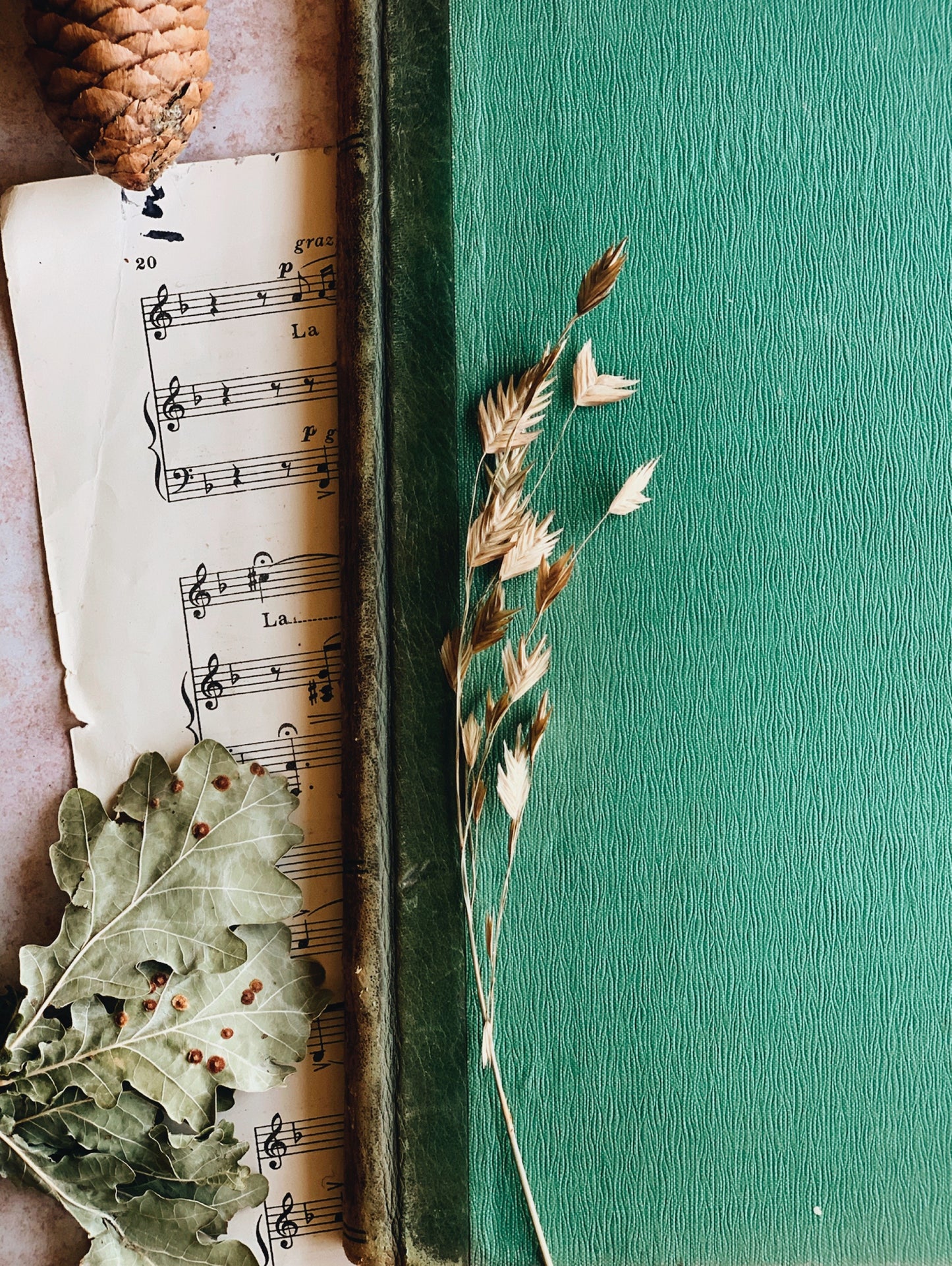Antique Bonatas Book for the Piano 1907