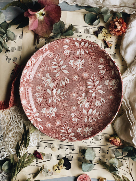 Royal Tudor Pink Transfer Large Saucer