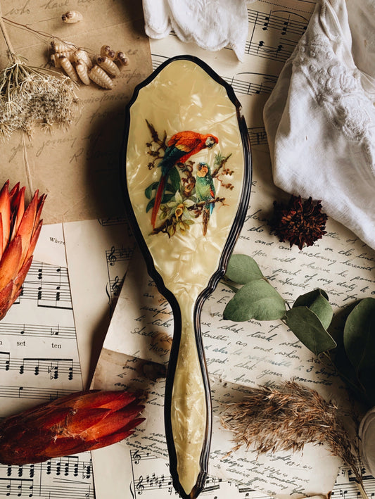 Antique Parrot Vanity Hairbrush