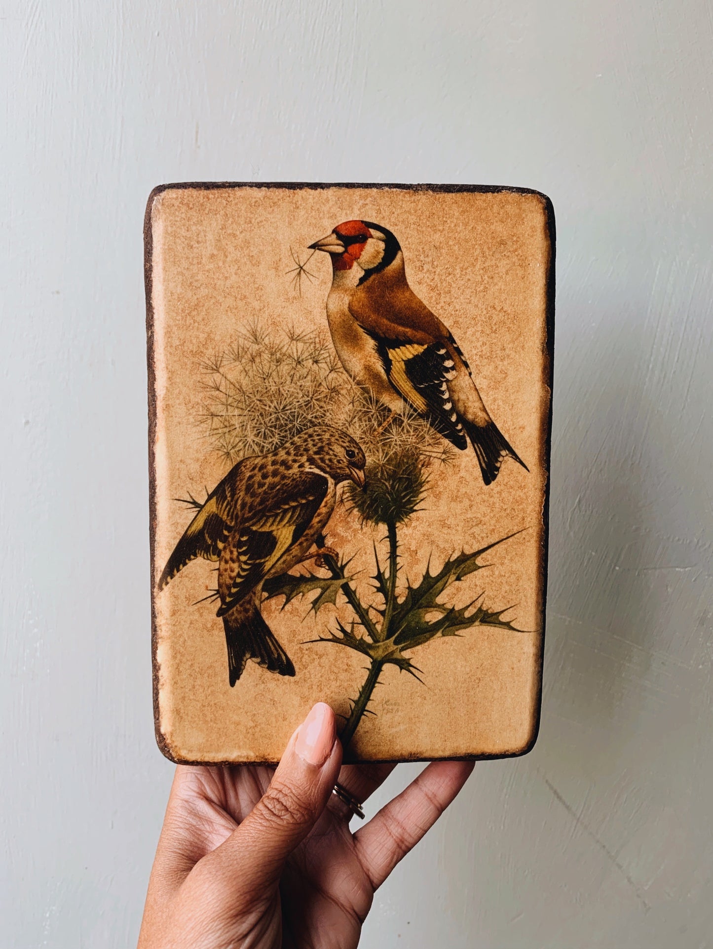 Vintage French Bird Cork Art