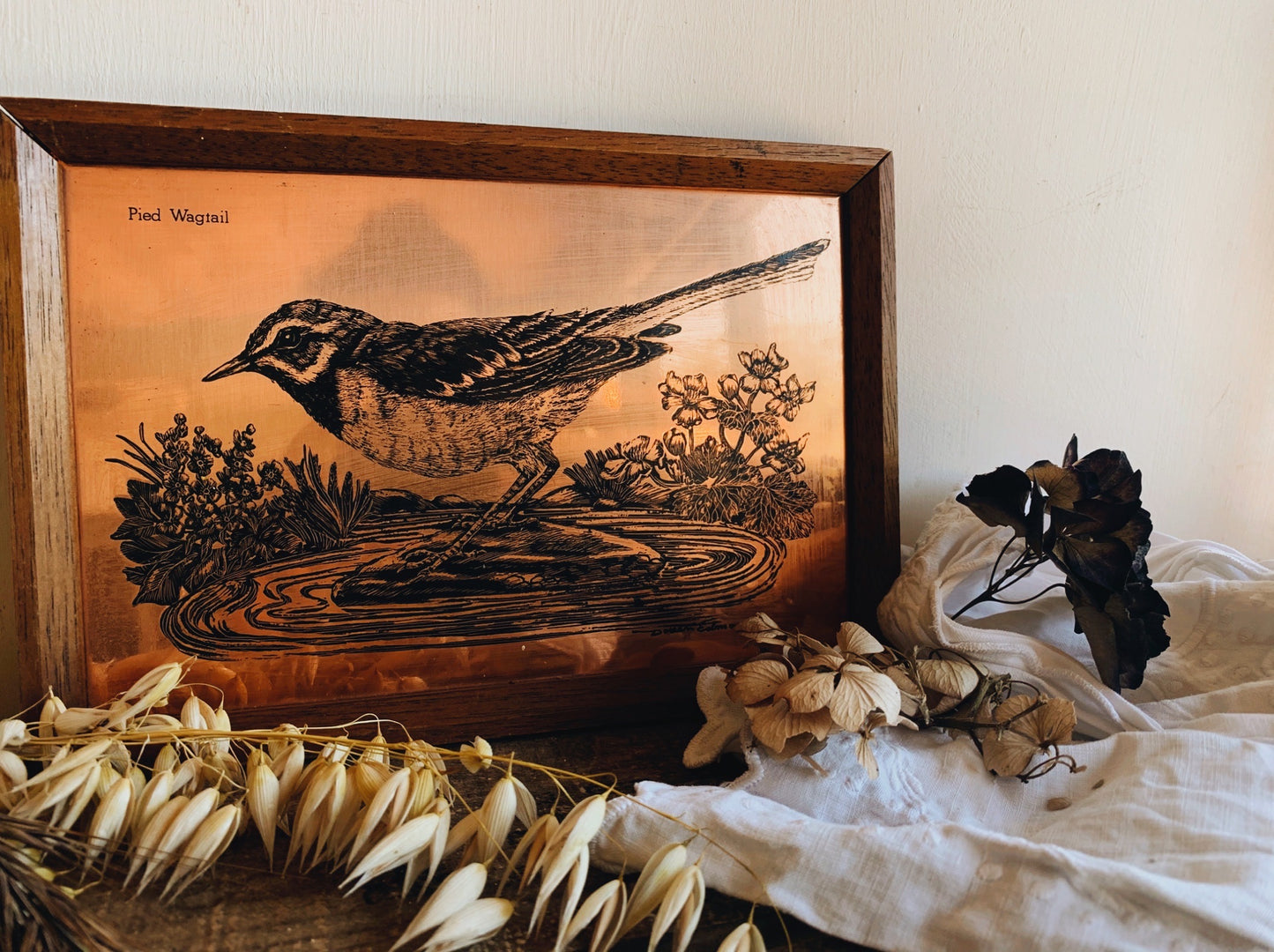 Vintage Copper Pied Wagtail Artwork