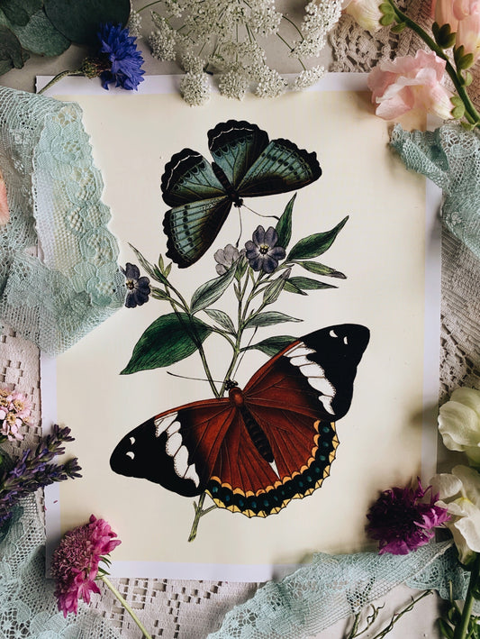 Vintage Style Butterfly Print