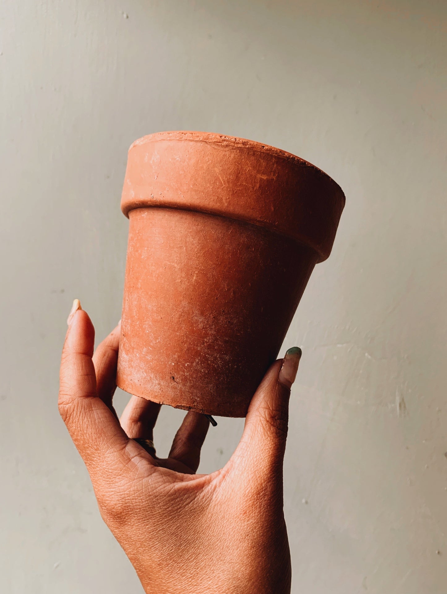 Antique Medium Terracotta Pot