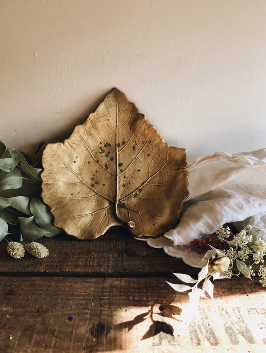 Ceramic Leaf Dish - Stone & Sage 