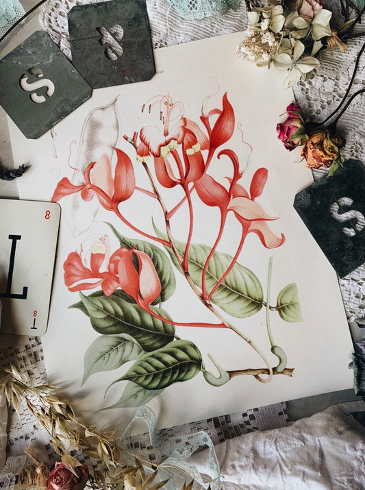 Vintage Style Floral Print