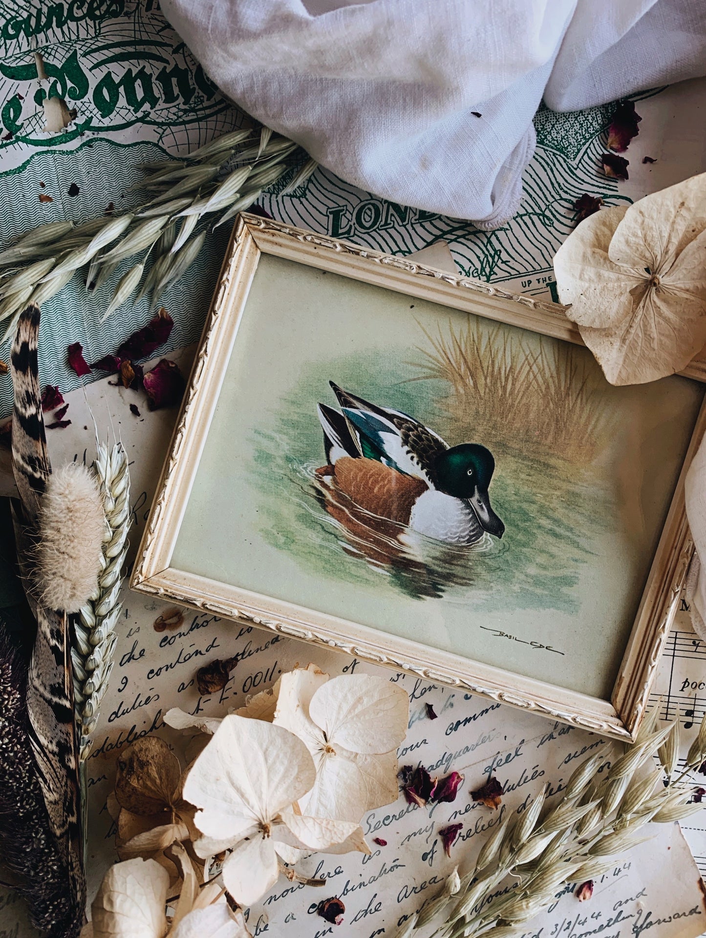 Vintage Duck Print Framed