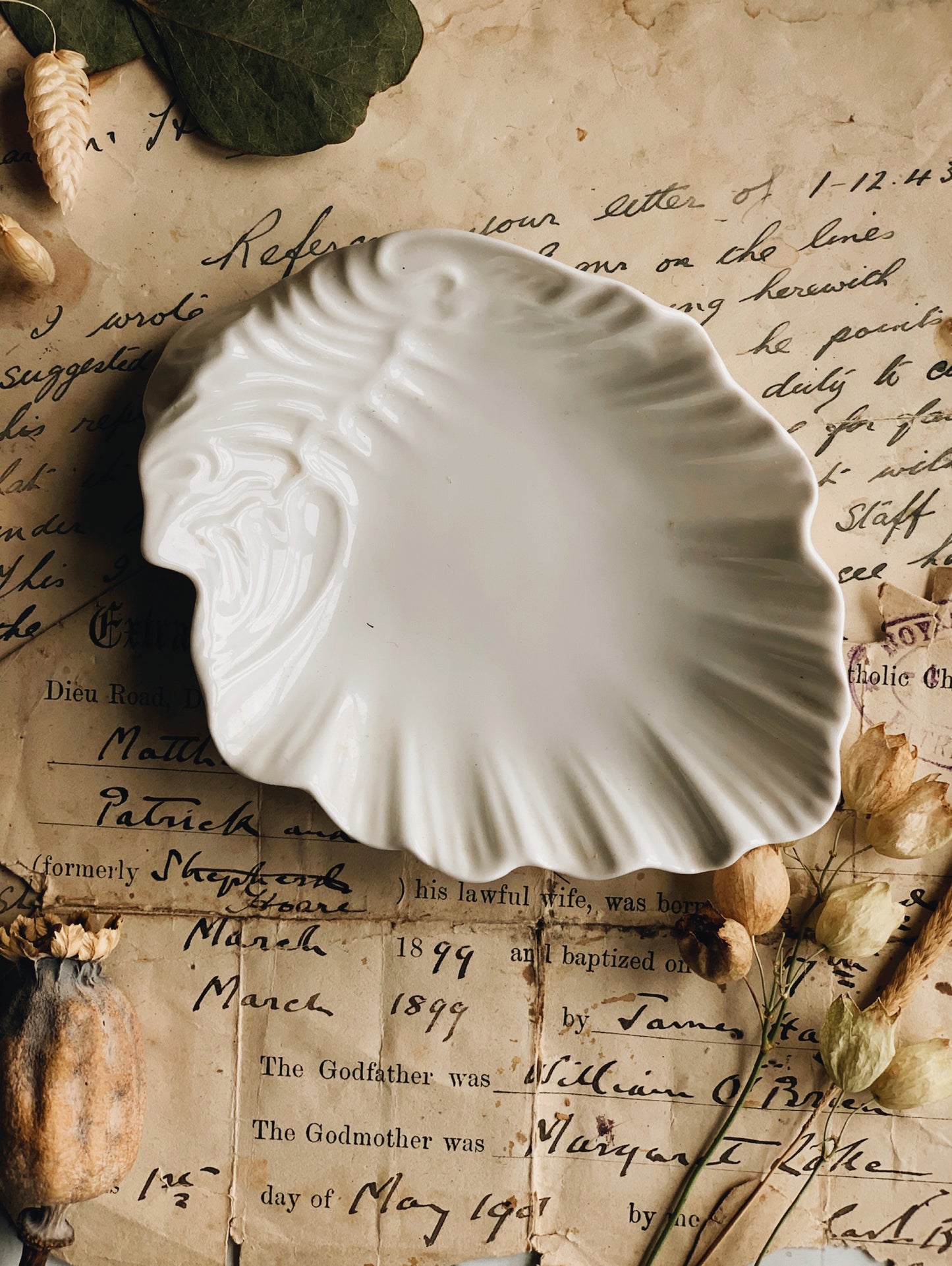 Vintage Shell Dish