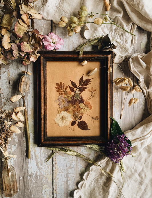 Antique Pressed Dried Blooms Framed