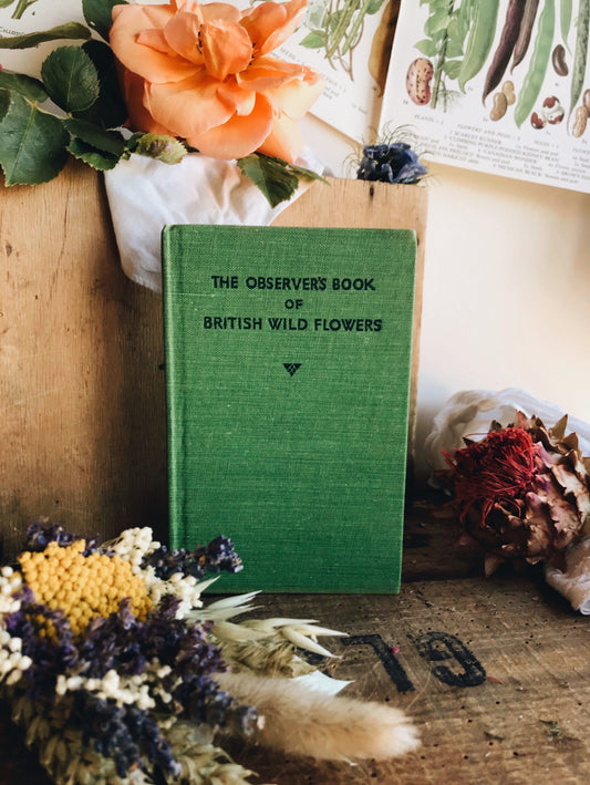 Vintage 1950’s British Wild Flowers