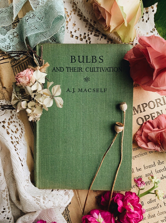 1948 Vintage Book “Bulbs & Their Cultivation”