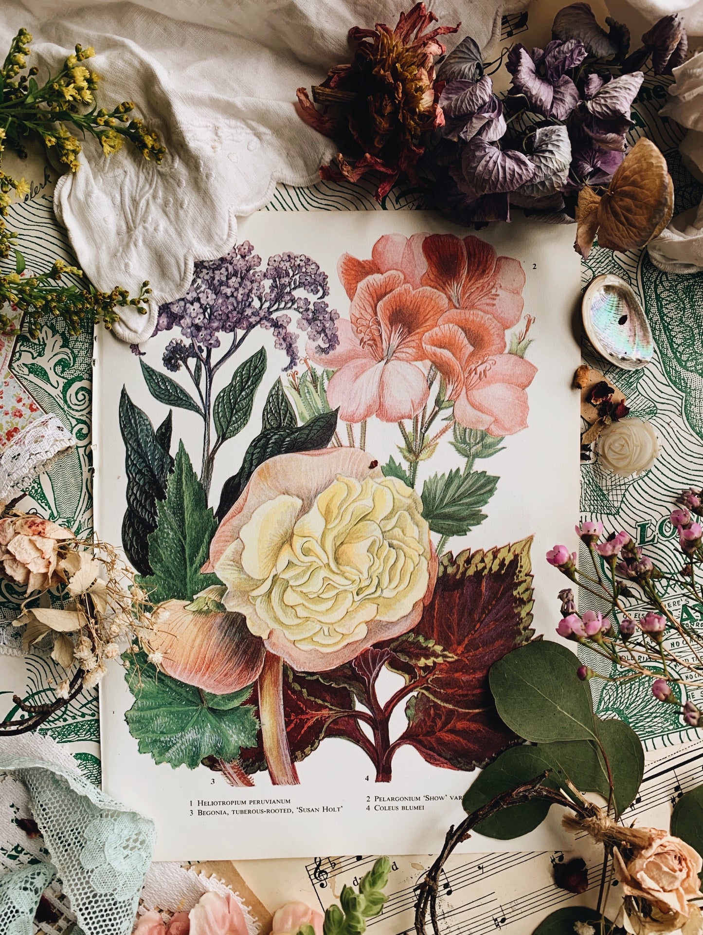 Vintage 1960’s Floral Bookplate ~ Susan Holt