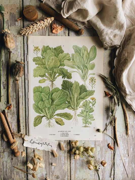 Ten Vintage 1960’s Veggie Bookplates ~ bespoke order