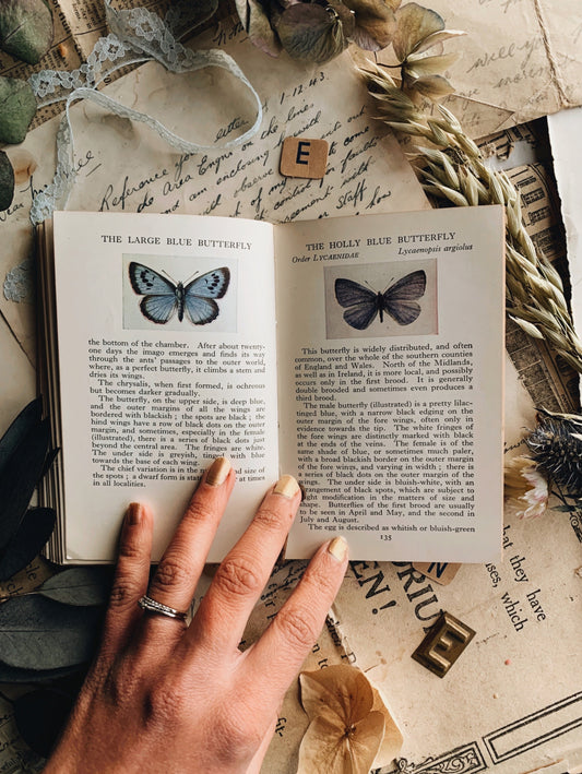 1935 Vintage British Butterflies Observer Book
