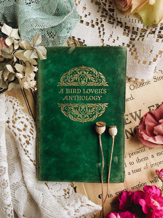 Early 1900’s A Birds Lovers Anthology