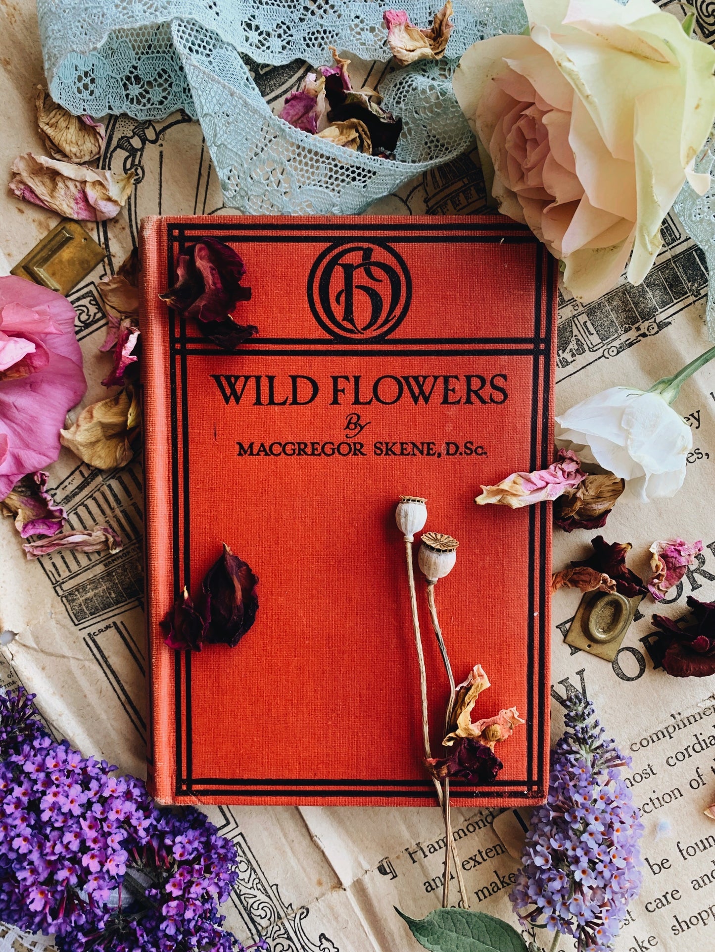 1920’s Wildflowers Book ~ McGregor Skene