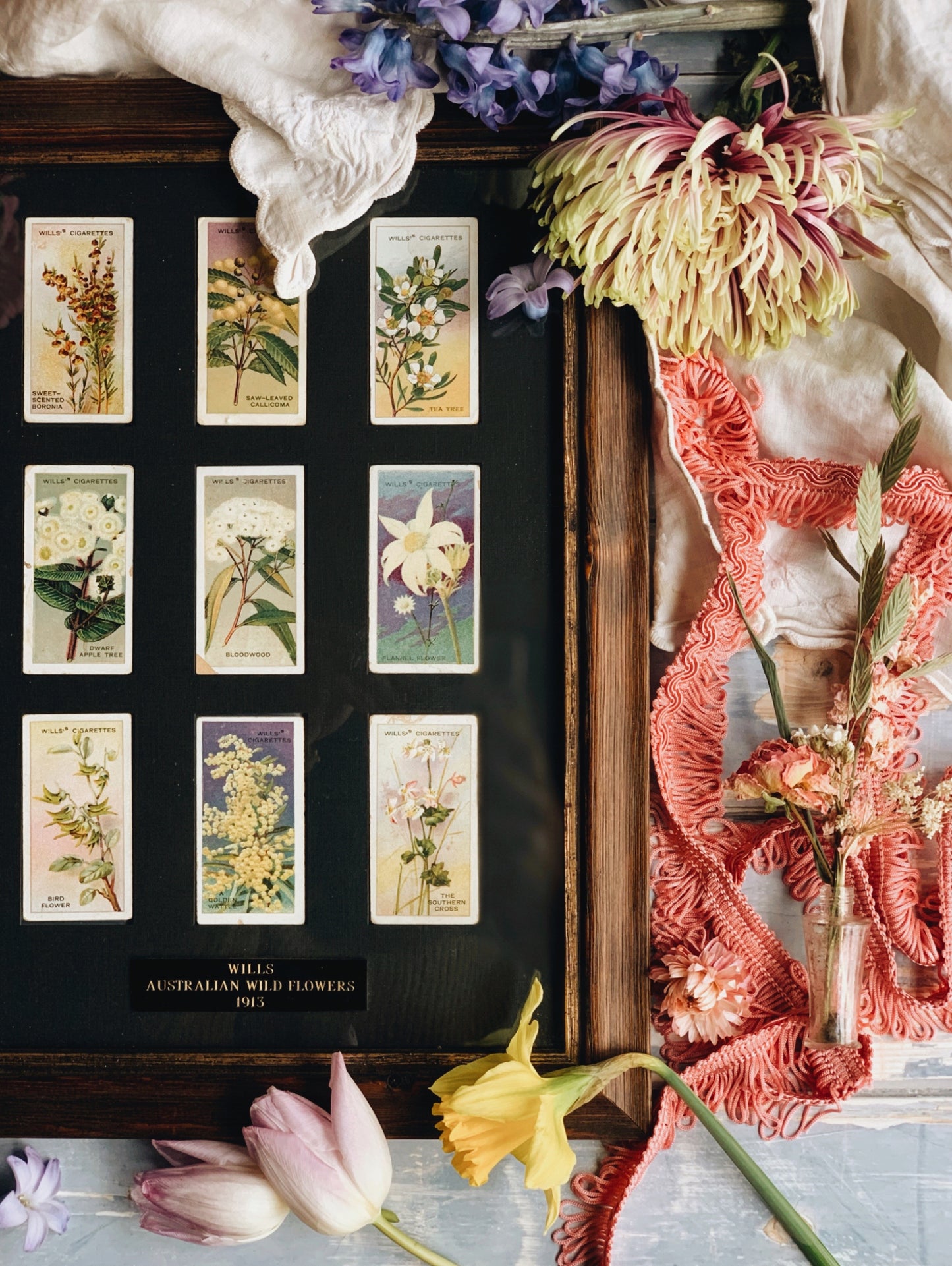 Vintage 1913 Australian Flower Collectible Cards (UK SHIPPING ONLY)